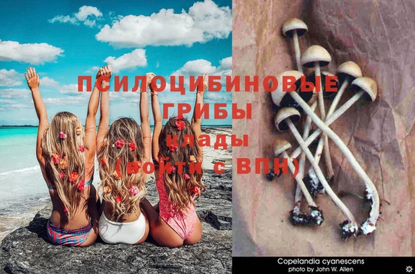 герыч Абинск