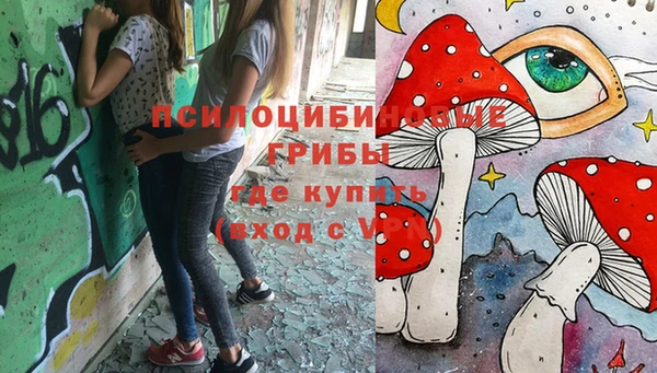 МДПВ Абдулино